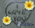 /album/fotogalerie/obrazky-4ever-sk-lubim-ta-srdce-piesok-kvety-138755-jpg/